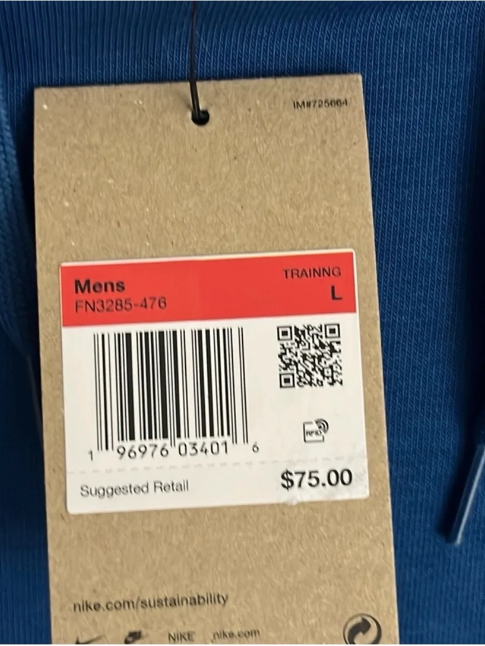 Nike Royal Blue Performance Pullover Hoodie